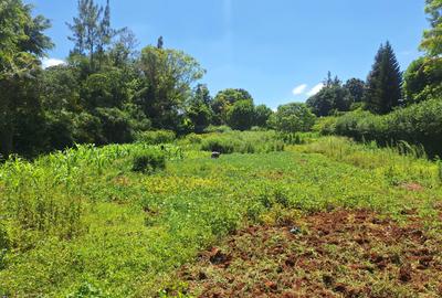 Residential Land in Runda