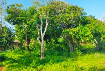 Land in Mtwapa