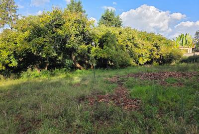 Residential Land in Karen - 4