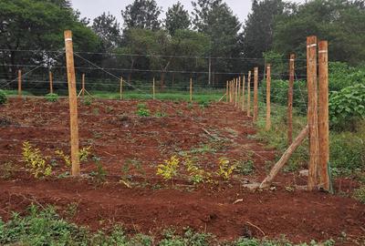 Residential Land in Juja