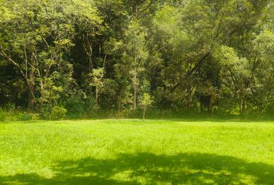 Residential Land at Ndege Road - 3