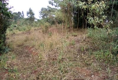 Land at Wangige