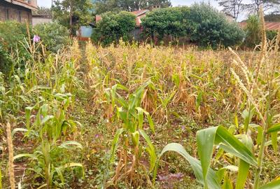 Land at Kirawa Road - 3