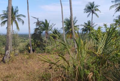 1,450 ac Land at Mabokoni - 3