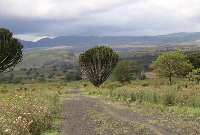 1 ac Land at Pipeline