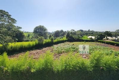 0.5 ac Land in Tigoni - 2