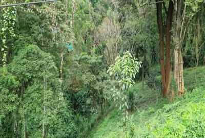 0.5 m² Land at Kitisuru Road - 4