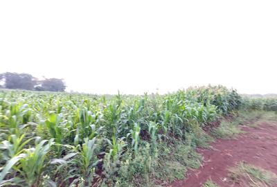 Land at Kitisuru Kirawa