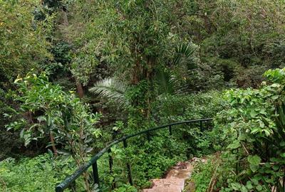 4 Bed House with En Suite in Muthaiga - 3