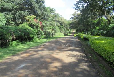 Residential Land at Mwitu Estate