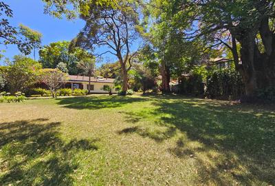 Commercial Property with Service Charge Included in Lavington - 2