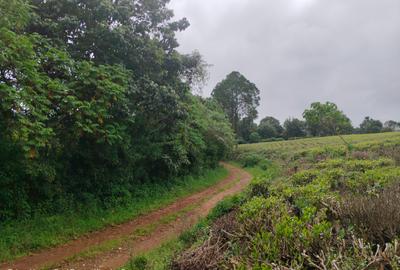 0.7 ac Land at Off Riara Ridge Road