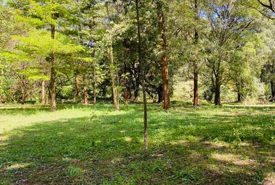 Land at Windy Ridge