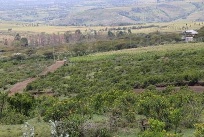 0.25 ac Residential Land at Nakuru - 3