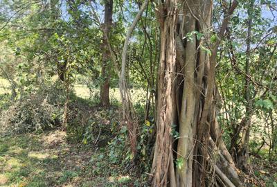 Land at Langata South Road