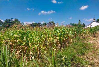 0.5 ac Land in Ridgeways
