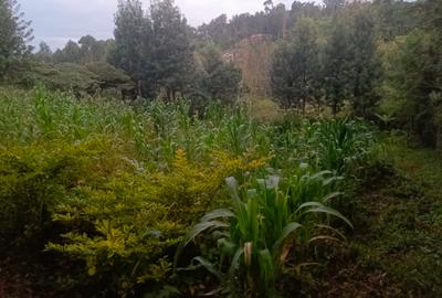 Land in Ngong - 2