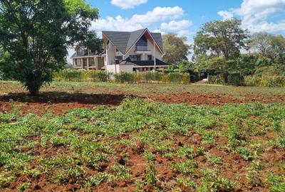 Residential Land at Daykio