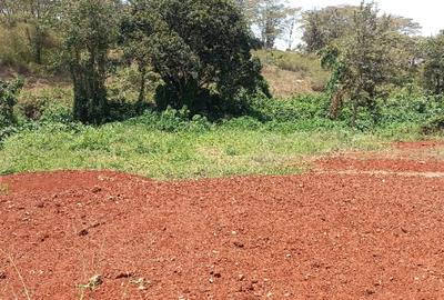 0.5 ac Residential Land at Muthithi
