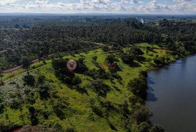 0.125 ac Land at Tatu City