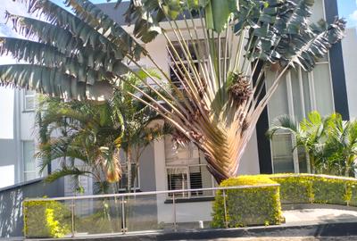 4 Bed Townhouse with En Suite in Spring Valley - 3