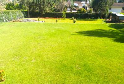 6 Bed House with En Suite in Runda - 3