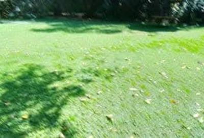 0.89 ac Land at Lavington Green