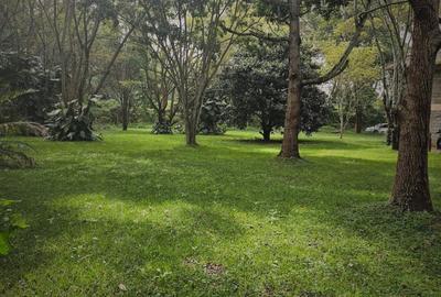 2.1 ac Residential Land in Karen