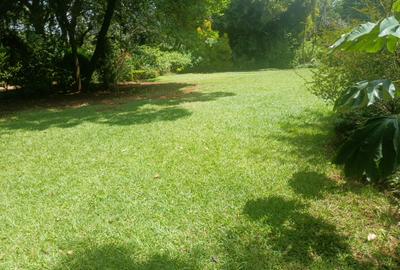 Residential Land in Lavington