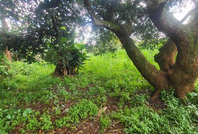 Land in Lower Kabete - 4