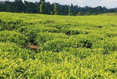 67 ac Land at Ndumberi-Ngorongo Road - 4