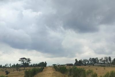 0.125 ac Land at Tuala -Nazarene University