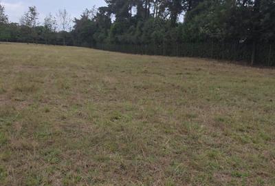 Land in Karen - 2