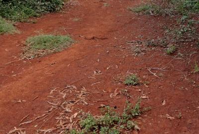 5.52 ac Land in Nanyuki