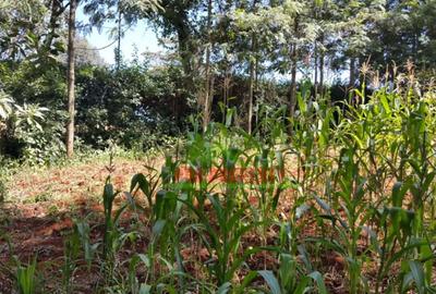 1,000 m² Residential Land in Kikuyu Town