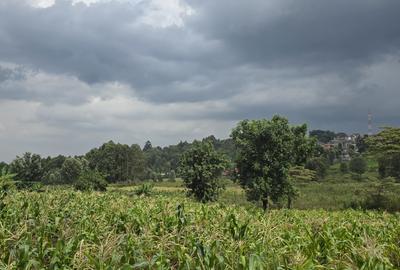 0.25 ac Residential Land in Ngong