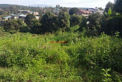 500 m² Commercial Land in Kikuyu Town