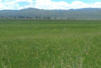 15.3 ac Land at Nakuru