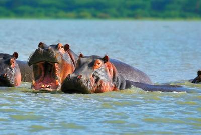 10 ac Land in Naivasha