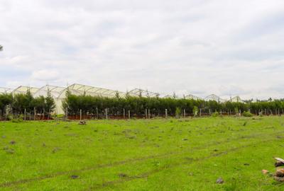 0.25 ac Land at 10Km From Eldoret Town