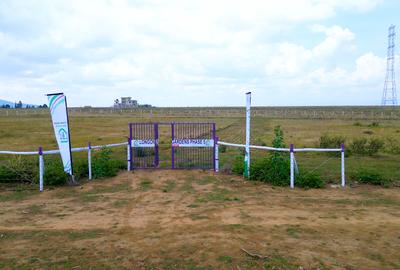 Residential Land in Naivasha