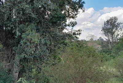 Land in Karen