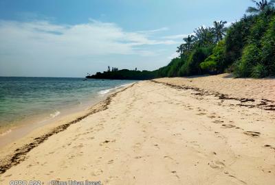 Land in Vipingo