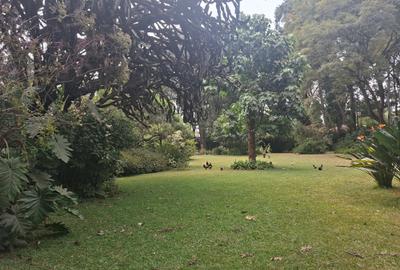 Land at Off Ridgeways/Kiambu Rd - 4