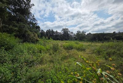 Land in Karen