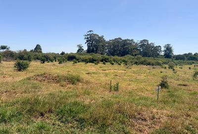 500 m² Land at Ruiru-Githunguri Road - 4