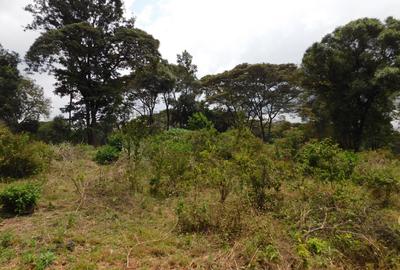 9 ac Land in Karen - 2