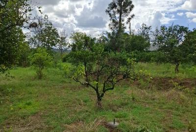0.045 ha Land in Murang'a County - 4
