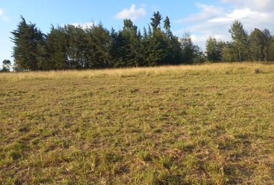 Land in Nyeri - 2