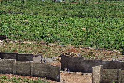 Residential Land at Riat - 3